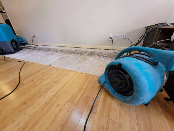 Professional Sewage Cleanup technician working in Boaz, WV